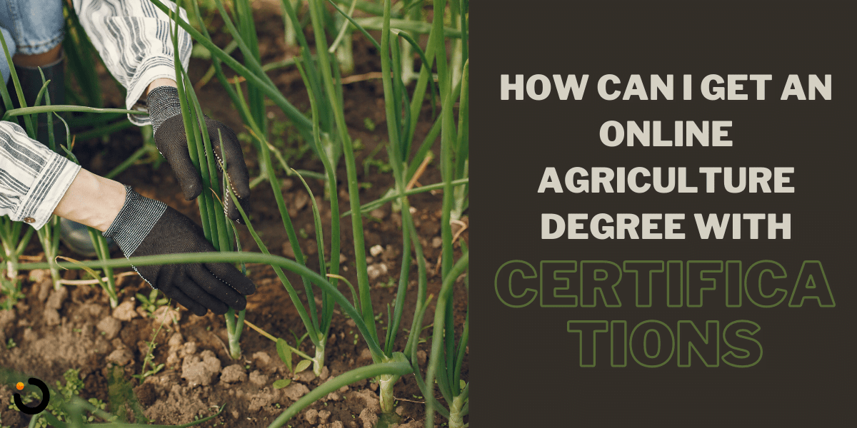 online agriculture degree